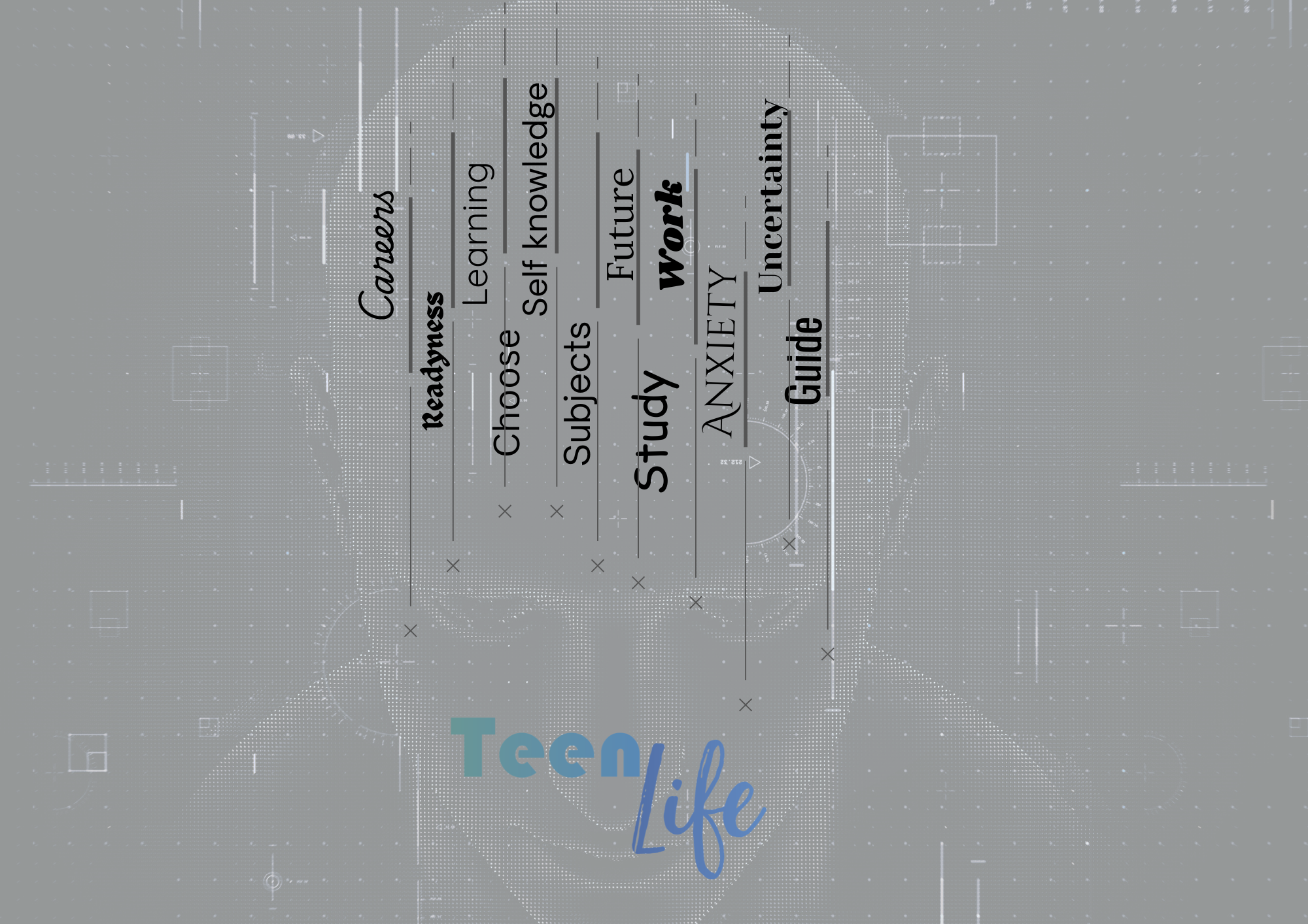 areer (1)
